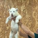 샤갈 노래연습장 이미지