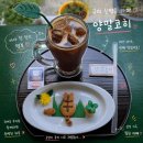 양말코히