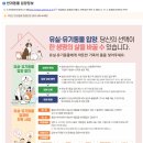 당진시 동물보호소 동물병원 | P1. 전라북도 부안 동물보호센터 포인핸드를 통해 유기견 입양 후기 운명적인 나의 사랑