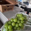 광훈농장 이미지