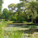 푸른수목원 이미지