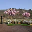 진천군 농다리 이미지