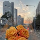 에이치에비뉴정관점 이미지