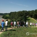 평화382