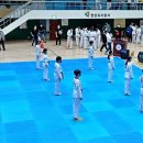 용인대 성포 태권도 이미지