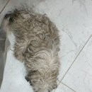 스윗 피플 | 이집트 여행기 DAY5: 가이드한테 삥 뜯긴 썰 (밥말리 서안투어 후기-왕가의 계곡, 장제전)