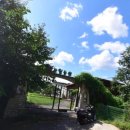 천상잔디유치원 이미지