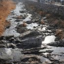 캠핑포유펜션 이미지