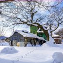 산길따라 이미지