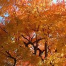 중앙검정고시학원 - 화성시 경기대로 1042 | 중앙검정고시학원