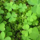 자전거도로 옆 이미지