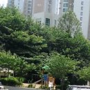 낙천대푸른어린이집 이미지