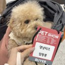 쏘스윗펫 | 2025 펫쇼코리아 후기 주차 꿀팁 추천 부스
