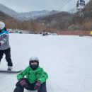 [무주스키장]스키강습 및 스노우보드강습 후기