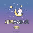 디어포레스트 | Dear새벽포레스트 :: 네모반듯 귀여운 폰트 Dear포레스트 비교 솔직후기