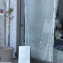 포엣룸 | 문래동 감성 카페 추천 ☕️| 포엣룸(Poet Room) 고양이 있는 비건 카페 솔직 후기😻