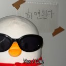 연성약국 | 만성변비 퇴치한 생체 실험 3개월 후기