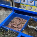 [일월수산] 가락시장에서 가을 전어 먹고 온 후기 :내돈내산, 온누리상품권