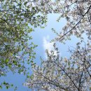 운천저수지 이미지