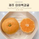 제주어린이집 | 과일 택배 제주 노지 타이벡감귤 뜻 로얄과 3kg주문 후기