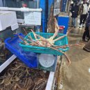 주문진스타 | 강릉 | 주문진 수산 시장 대게 맛집 일출횟집 방문후기