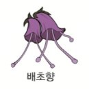 아띠코스메틱