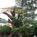 성심농원식당 이미지