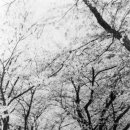 하동농수산 이미지