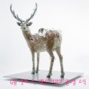 가톨릭서원 이미지