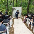 국립대야산자연휴양림 이미지