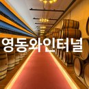 영동전기조명 | 영동와인터널 입장료, 주차, 전기차충전소까지 영동와인축제와 함께 가볼만한곳