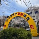 물태리 다목적회관 | [2026 청풍호 벚꽃축제] 제천 청풍호 벚꽃축제 실시간(26.04.05) 개화상황 / 포토스팟 / 주차꿀팁