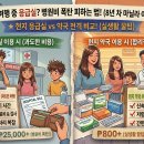 현지약국 티스토리