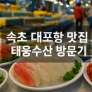 속초 대포항 맛집 태웅수산 방문기: 회, 대게, 튀김까지 완벽했던 곳