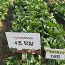 길용농장 이미지