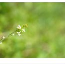 수산리-17 이미지