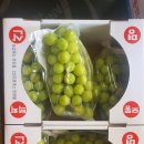 백화농장 이미지