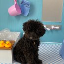 큐티살롱 이미지