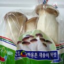 가온농산 이미지