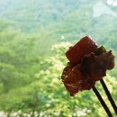 노루목산장 티스토리