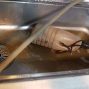 논현로 61 이미지