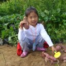 나현농장 이미지