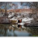 장미별장 이미지