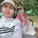 경기도 골프장 추천 서울 근교 2인 플레이 화성GC 라운드 후기