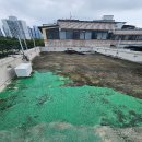 성심여관 이미지