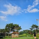 [골프 라운딩] 다시 찾은 서평택 골프클럽, 자동주행 카트와 코스 후기 (서평택CC / 서평택 파3)