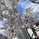 진영산복로 이미지