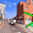 가장 아름답개 이미지