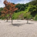 가평랜드 | 서울에서 1시간반! 별 쏟아지는 가평오토캠핑장 '가평랜드' E사이트 명당 전세 낸 후기