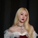 르코르셋
